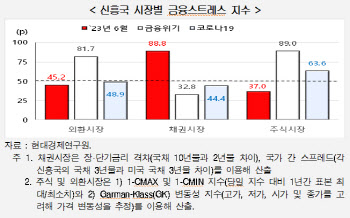 현대경제硏 "주요국 긴축 장기화…신흥국 채권시장發 리스크 주의"