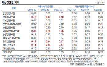 금리상승·부동산 둔화…생보사 자산부실화 우려 고조