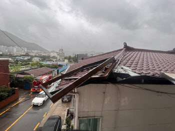 서울 전역에 태풍주의보 발효