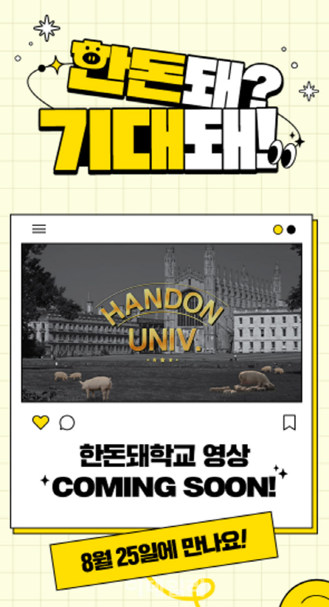 [포토]  ‘I DON KNOW!’ 캠페인 한돈돼학교 티저 영상 공개