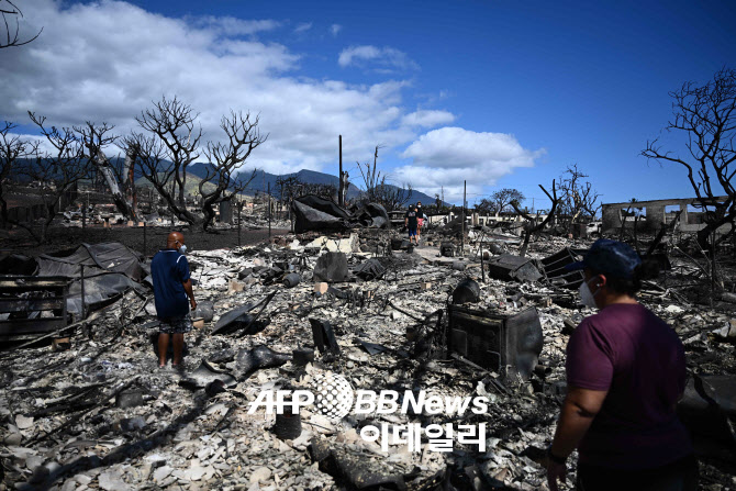 美마우이섬 산불 사망자 80명으로 증가