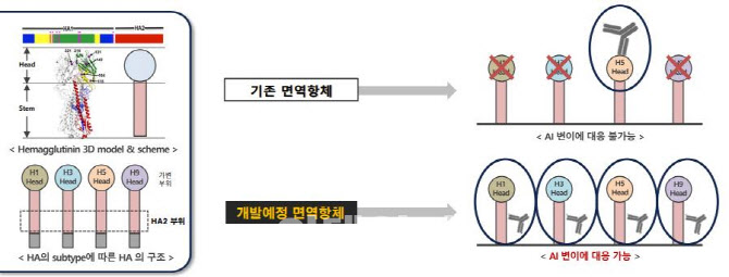 애드바이오텍 "조류인플루엔자 바이러스 예방용 면역 항체 개발"