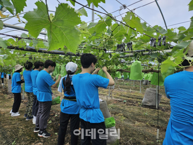 [포토] 한돈자조금, 성공적 농활 2023 진행