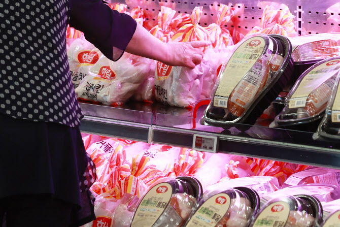 '육용계 종란' 최초 수입…닭고기 공급 확대 나선다