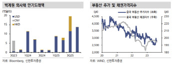 "中 부동산 불안 연말까지 지속…증시 리스크 경계해야"