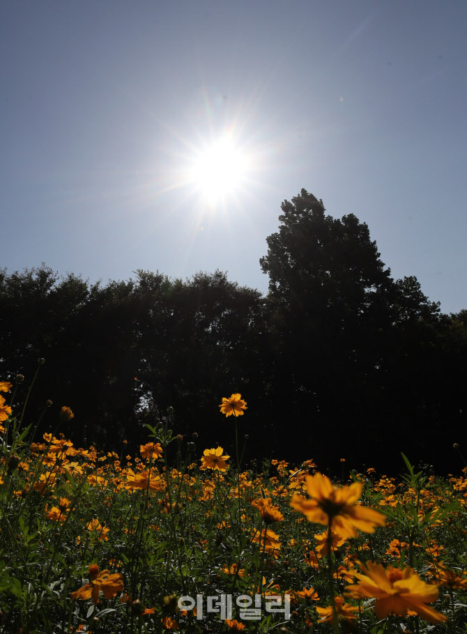 [포토]무더위에도 성큼 다가온 가을