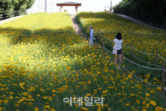 [포토]성큼 다가온 가을