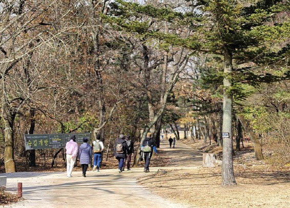 동구릉 숲길 걸으며 왕의 숨결 느껴보세요