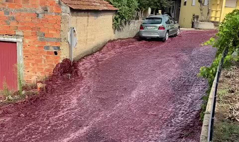 "와인이 강같이 흐르네"...저장소 폭발한 포르투갈 마을[영상]