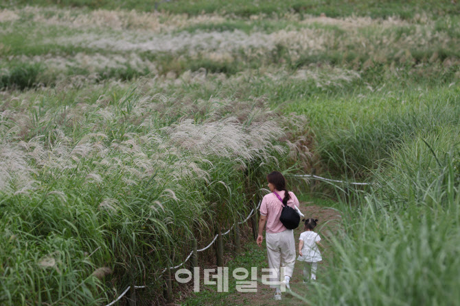 [포토]아이와 함께 즐기는 가을