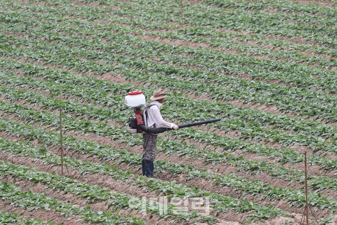 낮 기온 30도 안팎…경기북부 비소식도[오늘날씨]