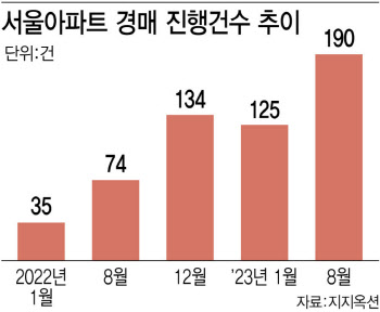 "똘똘한 한 채 잡자" 강남 경매 낙찰가 '쑥'