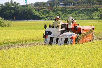 농관원, 가루쌀 1.1만톤 공공비축…내달 10일부터 매입 검사