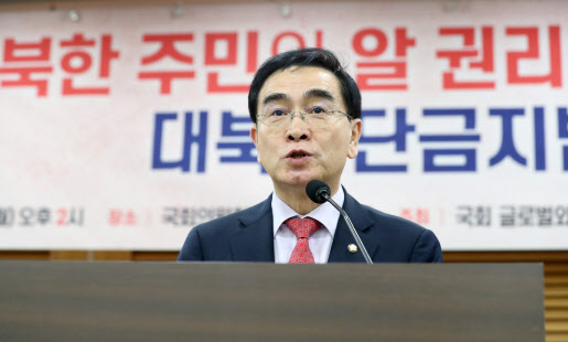 태영호 의원 “대북전단금지법 위헌판단 환영”