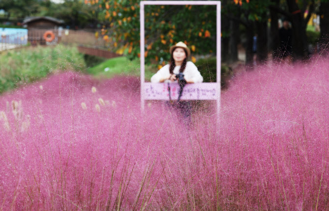 [포토] 핑크빛으로 물든 가을