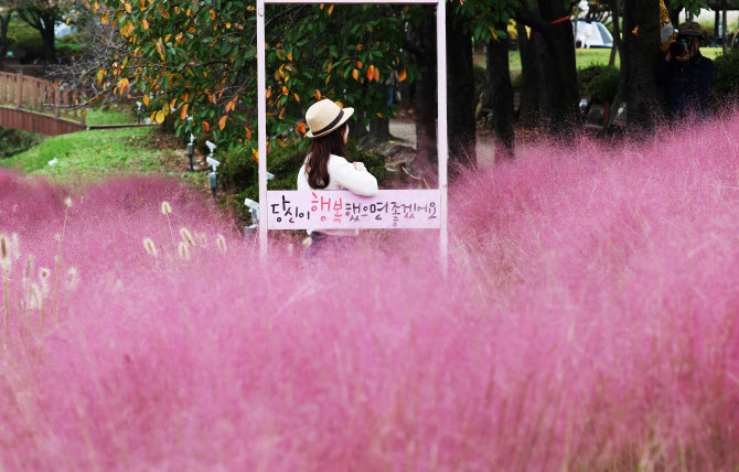 [포토] 핑크빛 가을