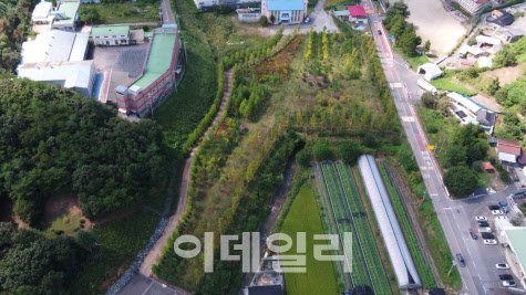 경북 천년숲·금산 미세먼지차단숲 등 녹색도시 최우수 선정