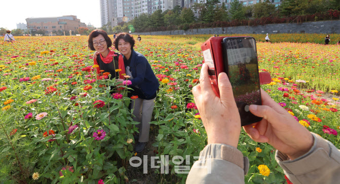 [포토]가을 나들이 나왔어요!