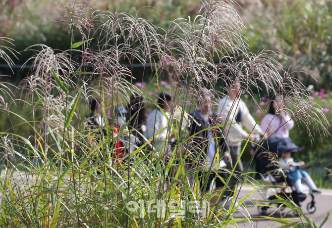 [포토]'가을 산책'