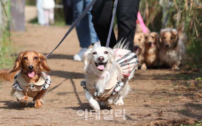 [포토]'즐겁개'