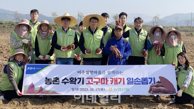 [포토] 농협유통, 고구마캐기 일손돕기