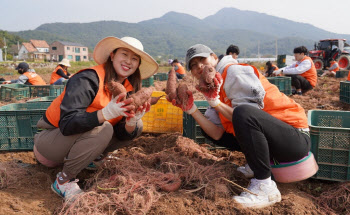 중앙그룹, 농촌 일손돕기 봉사활동… 고구마 1000kg 기부