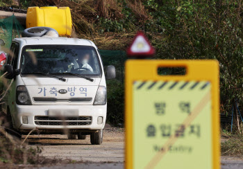 평택·김포 '럼피스킨병' 확진에 경기도 긴급방역조치 돌입