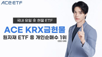 한투운용 "ACE 금현물, 원자재 ETF 순매수 1위…중동 불안↑"
