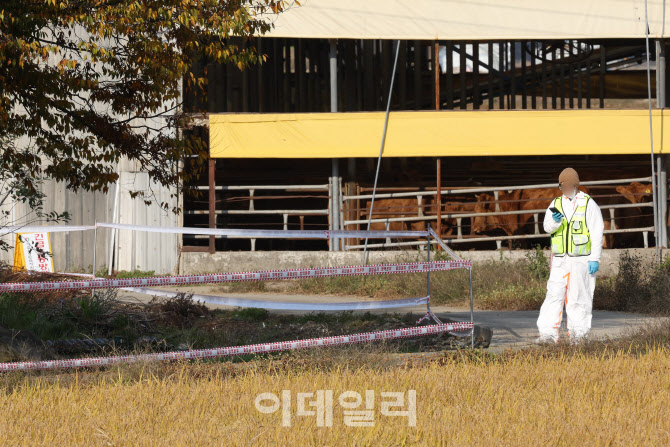 [포토]통제된 럼피스킨병 확진 축산농가