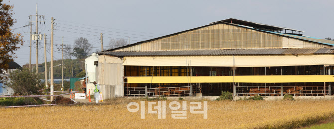 [포토]럼피스킨병 확진된 축산농가 통제