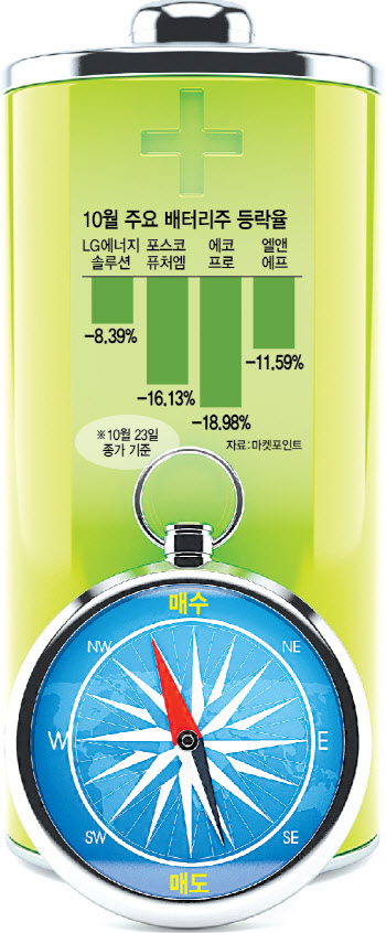 저점매수냐, 더 지켜보느냐…에코프로 '딜레마'