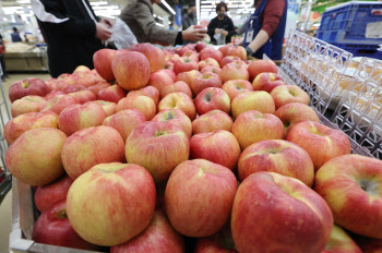 기상재해로 가격 오른 사과·토마토…가공용 판매해 부담 완화