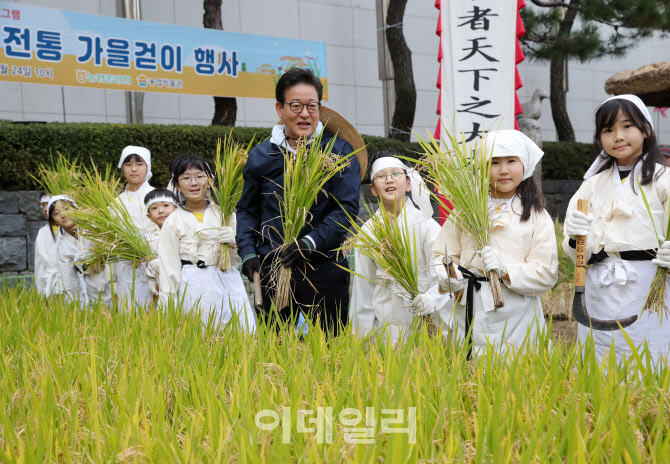 [포토] 전통 벼베기 체험