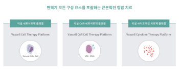 [박셀바이오 대해부]②기대 이상 효과 Vax-NK, CAR-MIL도 연구