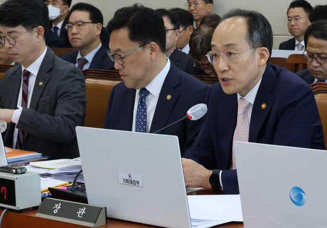 국회 예정처 "21년 만에 재개된 내년 원화 외평채 발행, 재검토해야"