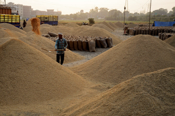 인도 쌀 수출 제한에 남반구 식량위기 고조
