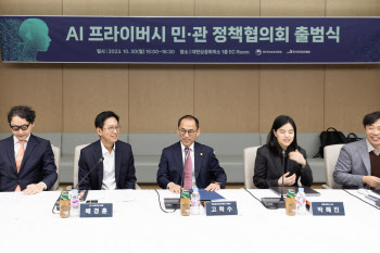 'AI 프라이버시 민관 협의회' 출범…"글로벌 AI 규범 주도"
