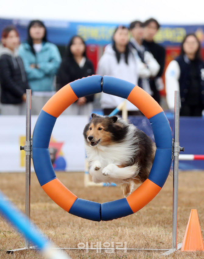 [포토]장애물 뛰어 넘어