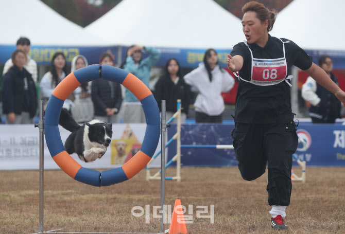 [포토]힘차게 장애물 뛰어 넘어