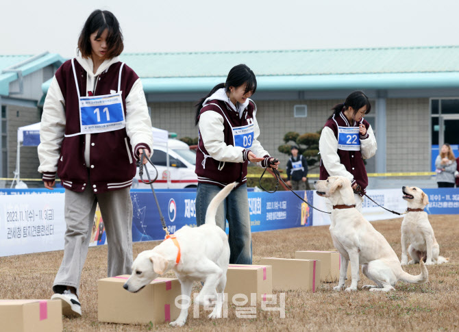 [포토]탐지 훈련하는 견공