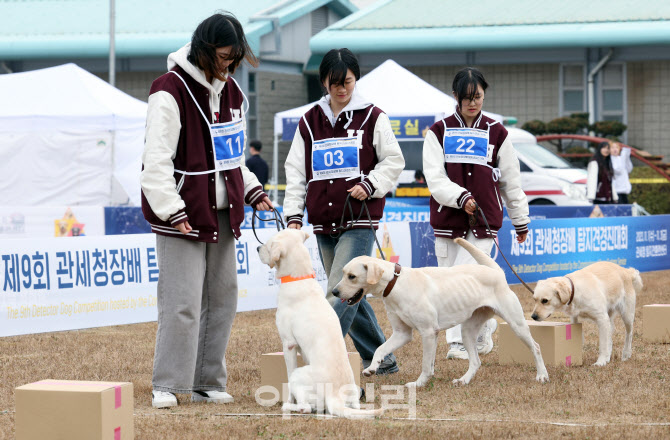 [포토]탐지견 경진대회 준비하는 참가견