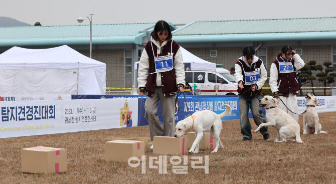 [포토]탐지경기 준비하는 견공들