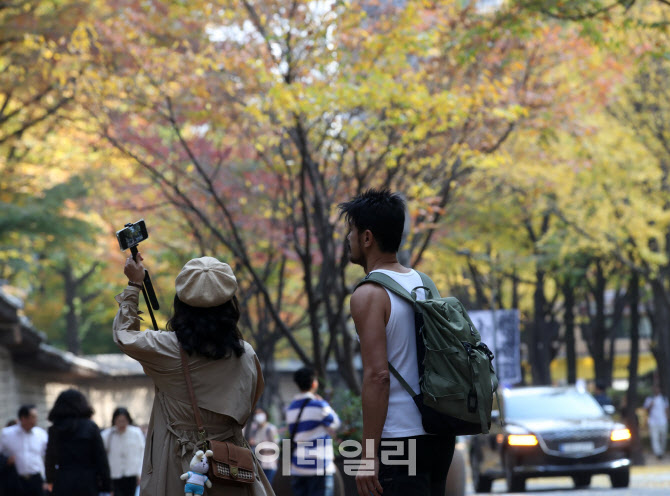 [포토] 한국의 가을을 즐기는 관광객