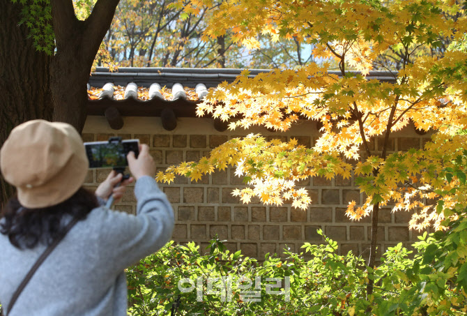 [포토] 가을 사진찍기