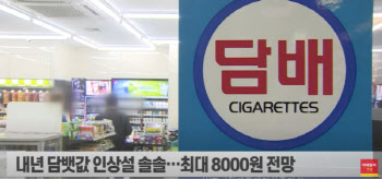 담뱃값 8000원 시대 오나…전자담배도 인상 가능성