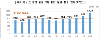 “블랙프라이데이 겨냥 ‘사기성 온라인쇼핑몰’ 주의하세요”