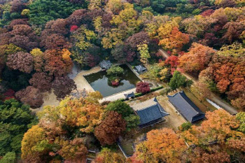 궁궐과 조선왕릉에서 즐기는 '가을 단풍'…풍성한 문화행사