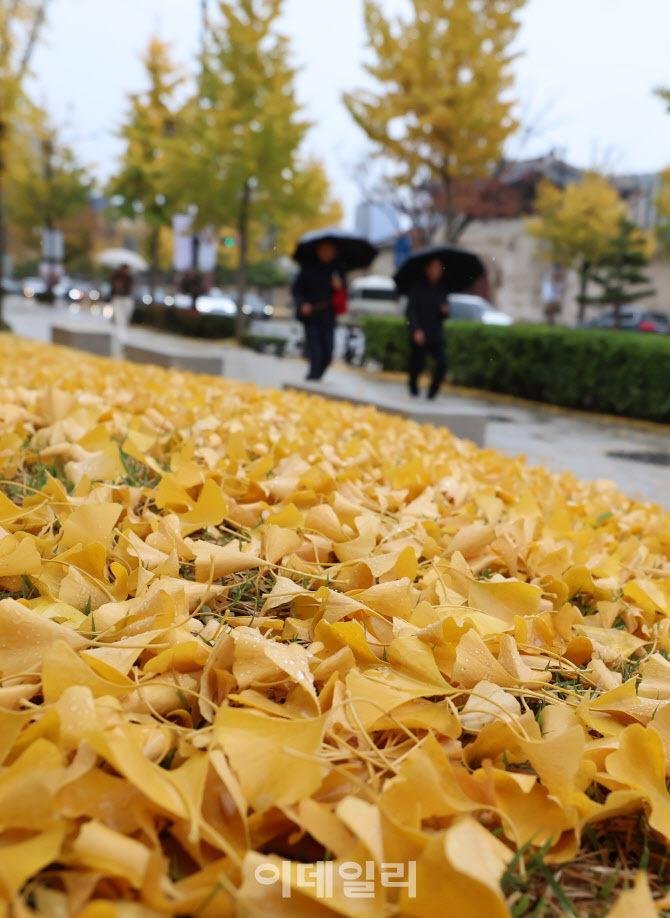 [포토]노오란 낙엽 쌓인 삼청동