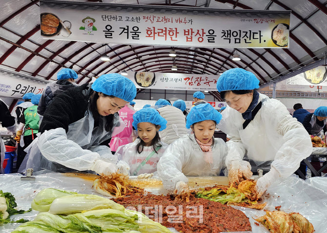 [포토] 평창 고랭지 김장축제