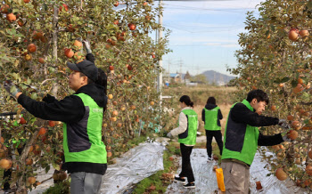 LX인터내셔널·LX판토스, 수확기 농촌 일손 돕기 봉사 활동